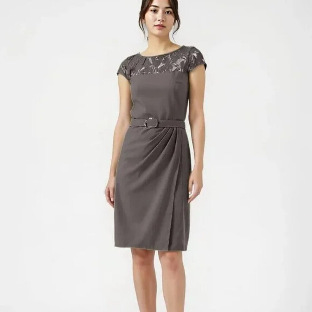 Anne Klein Neutral Gray Grey Minimalist Lace Belted Sheath Office Dress XS 2